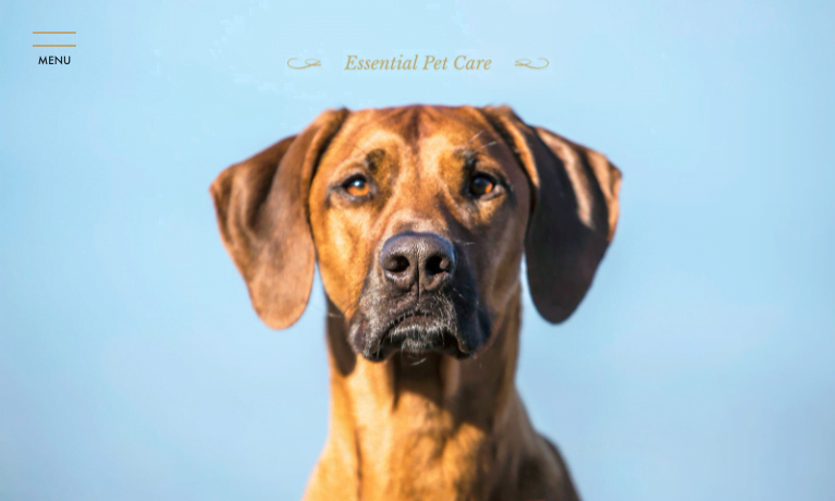 リラ・ラブズ・イット