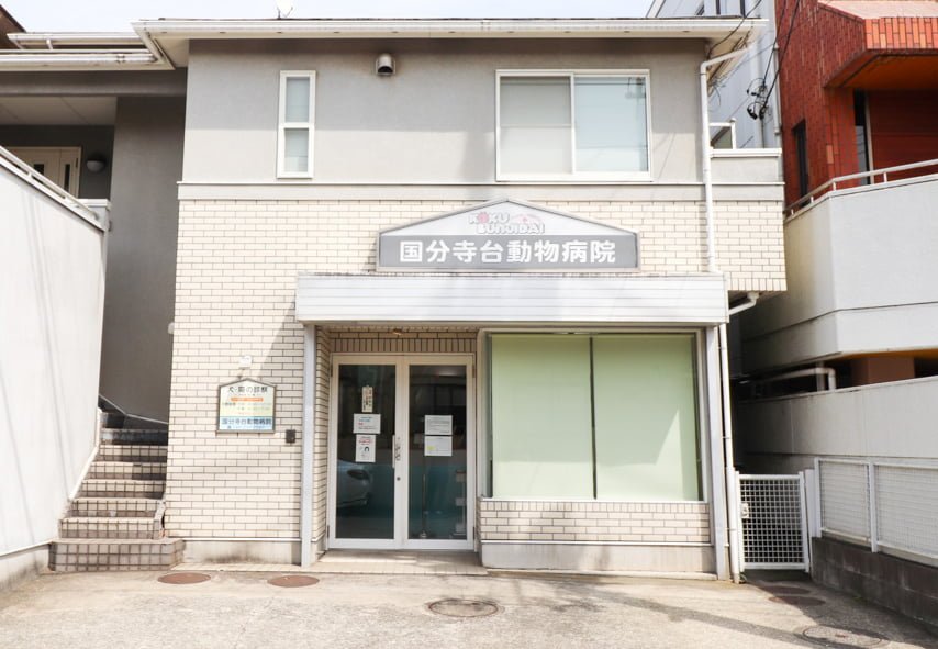 国分寺台動物病院